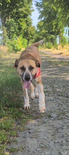 Aranel : Grosser Schatz sucht Kuschelpla