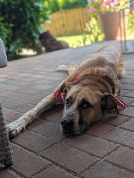 Aranel : Grosser Schatz sucht Kuschelpla