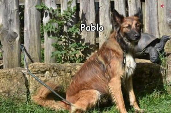 PAPLO