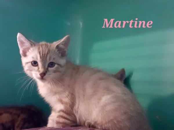 Martine