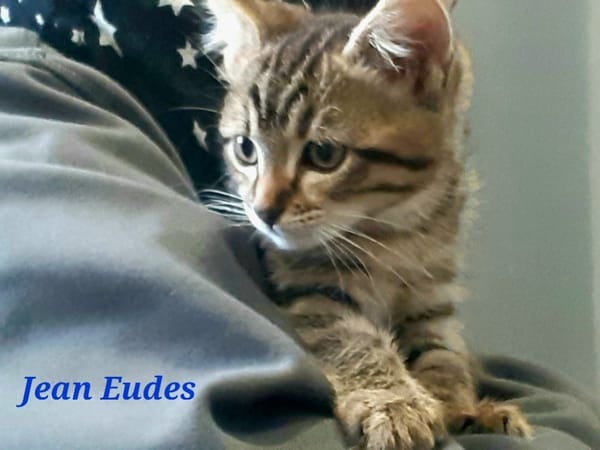 Jean eudes