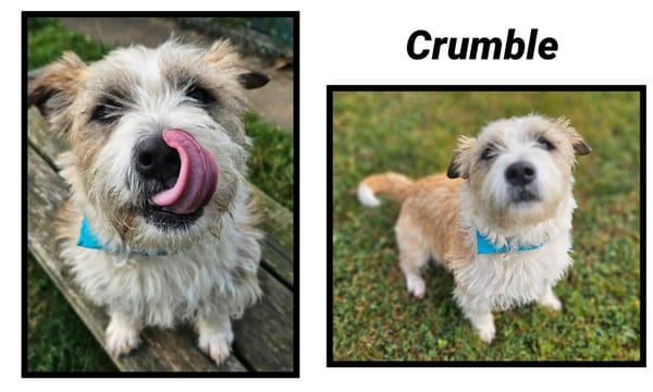 CRUMBLE