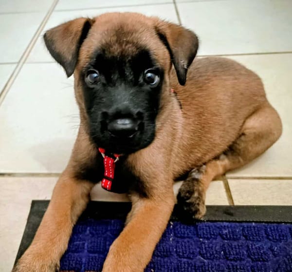 NALA, la magnifique rescapée