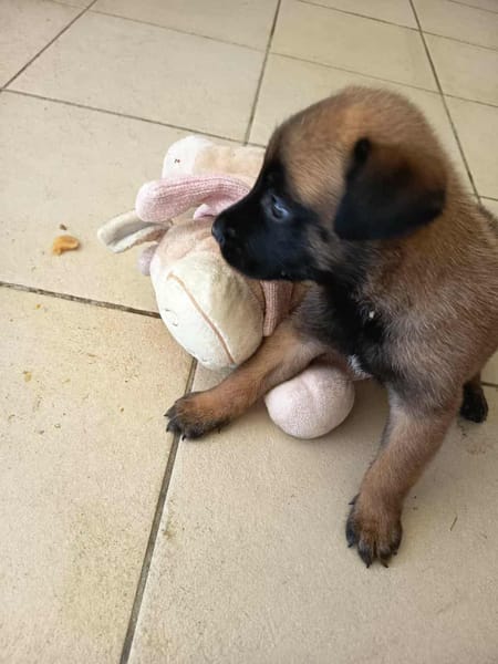 NALA, la magnifique rescapée