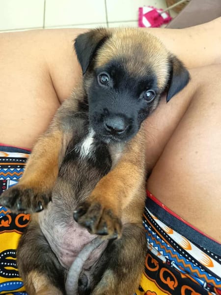 NALA, la magnifique rescapée