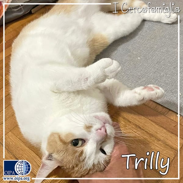 Trilly