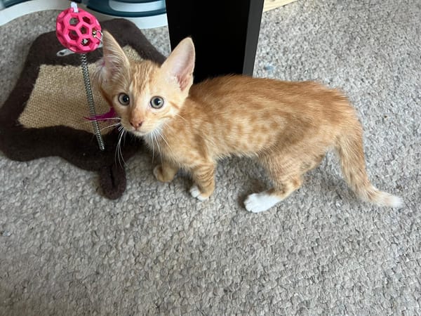 Ruby