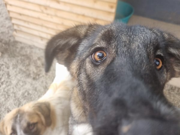 Skye