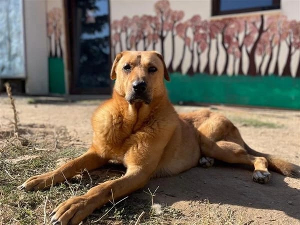 Zeus