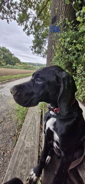 Eros sucht ein Zuhause