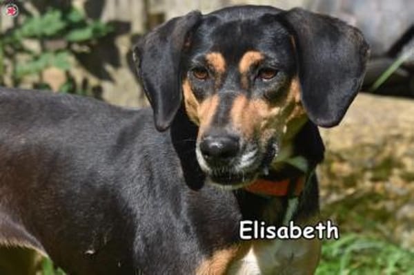 ELISABETH