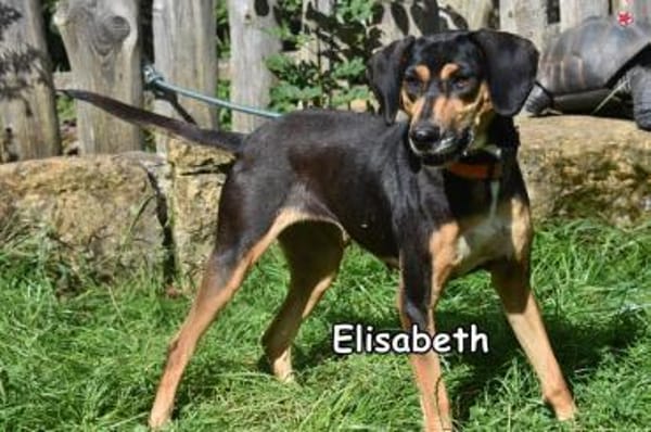 ELISABETH