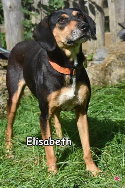 ELISABETH