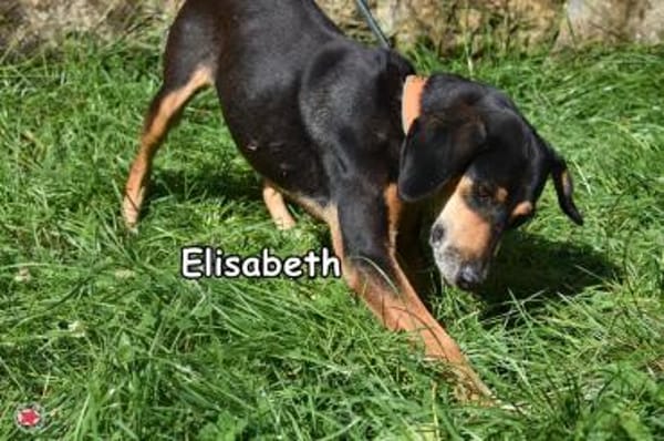 ELISABETH