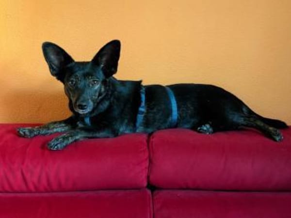 Flixy wartet auf Dich!
