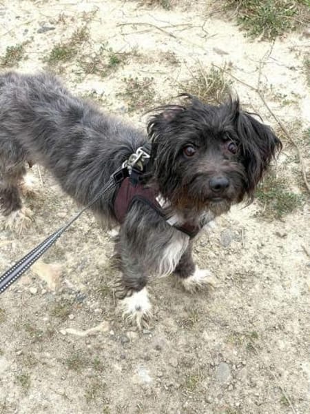 Mathilda will mit dir durchs Leben gehen
