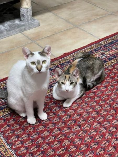 Lucy und Lilly suchen gemeinsamen Dosenö