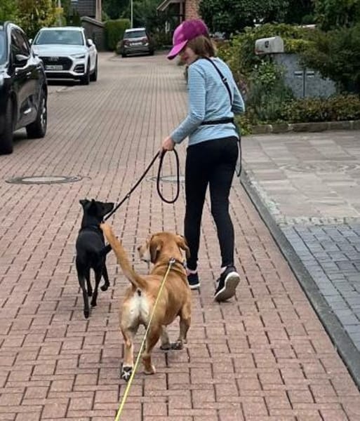 Anhänglich+sozial; das ist Jerry!