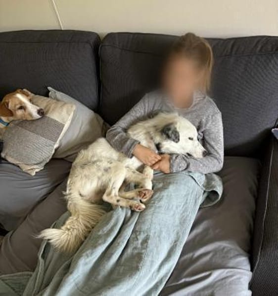 Charlie sucht liebevolle Hundekenner❤