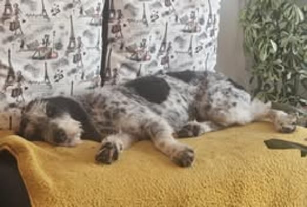 CHANA