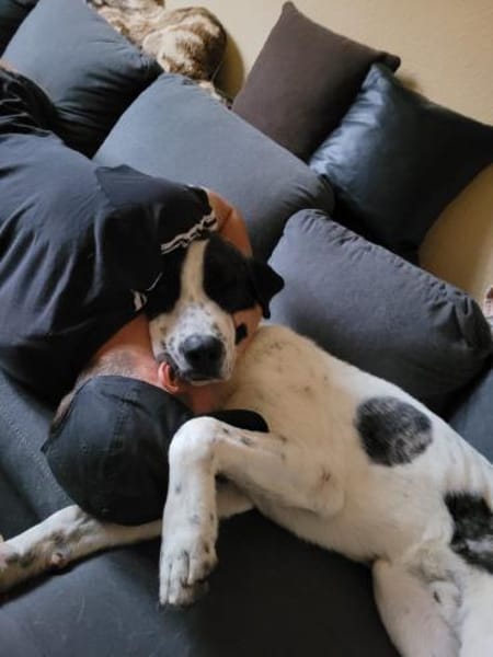 Santi braucht endlich ein Zuhause
