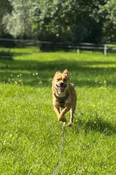 Sonnenschein Beru sucht sein Happy End