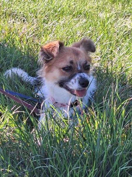 STELLA sucht ihr Glück
