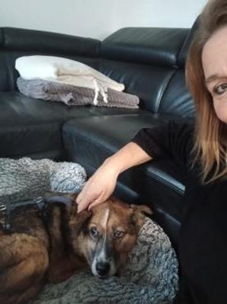 Sophie sucht ihr Glück