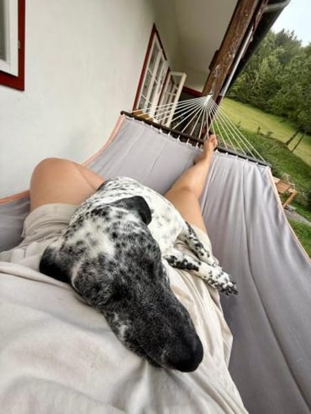 Sully, alltagstauglicher Sonnenschein, c