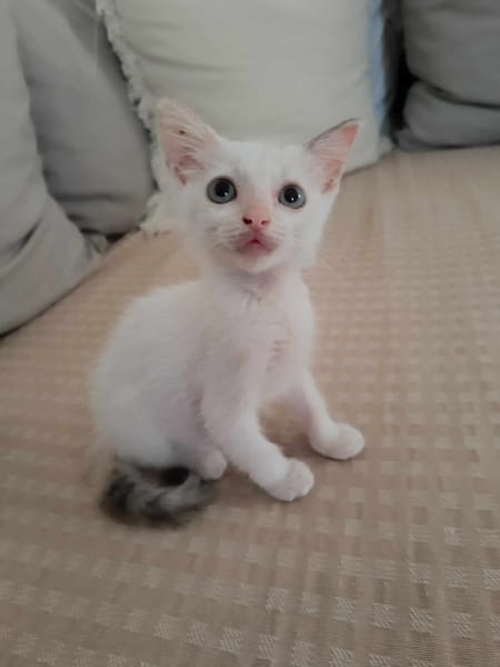 Lily Rose, la douce