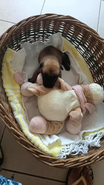 NALA, la superbe créole