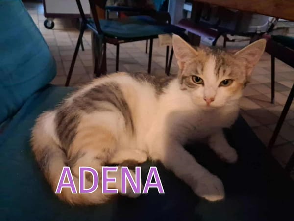 ADELIE et ADENA