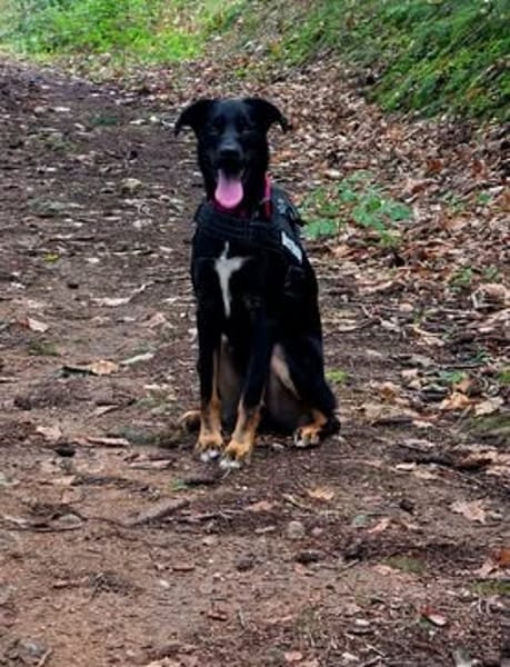 VALKO
