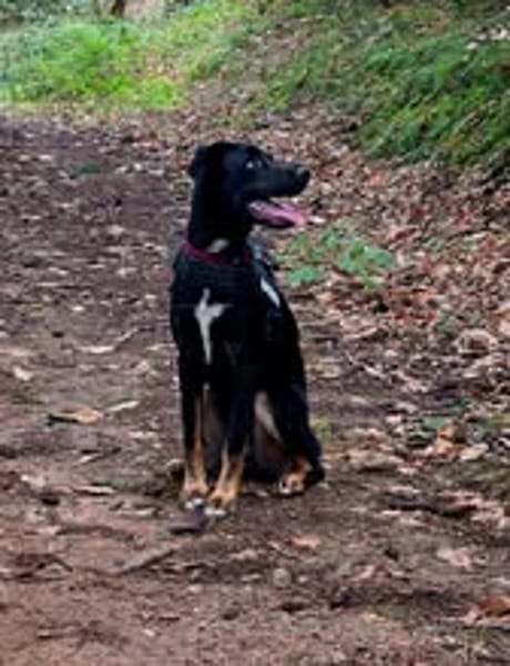 VALKO
