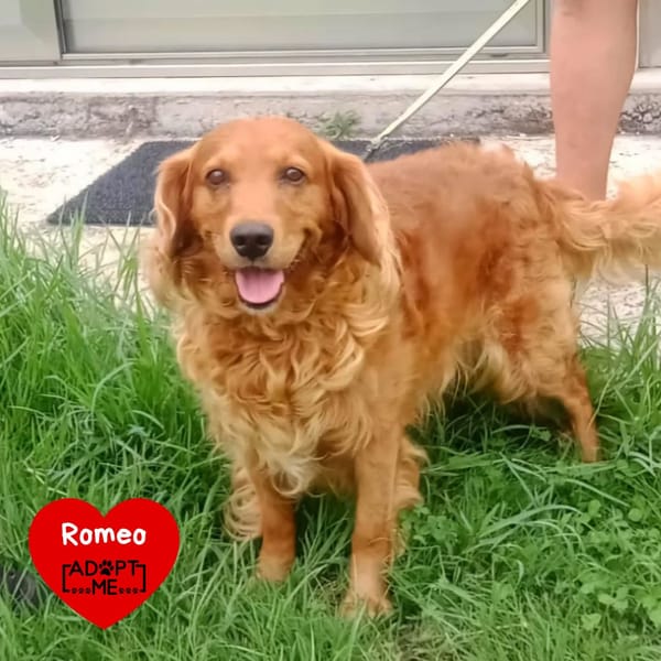 Romeo