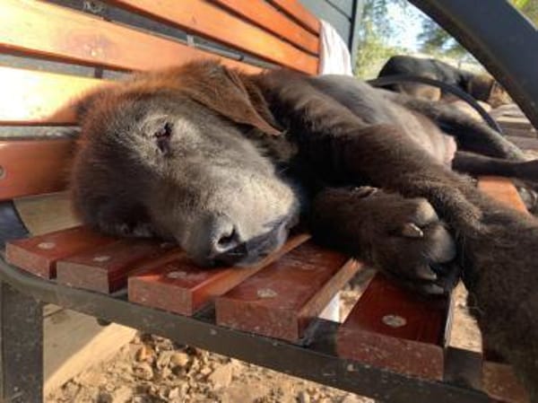 THEO - wo bleibt sein Happy End?