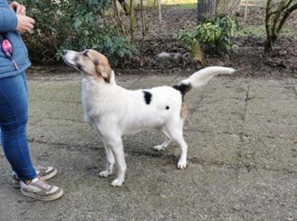Kuschelbär Quinny sucht seine Familie