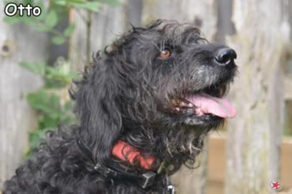 OTTO