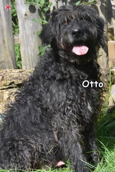 OTTO