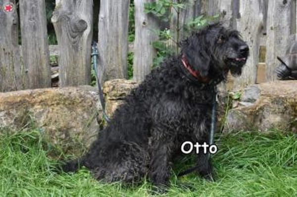 OTTO