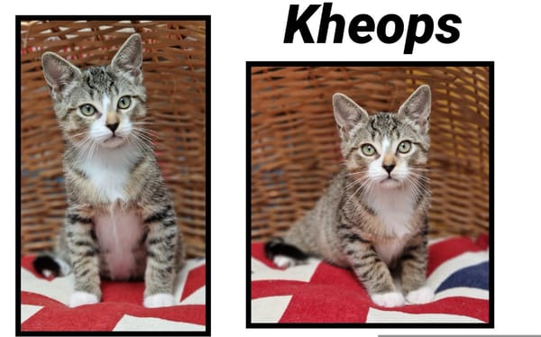 KHEOPS(Réservé )