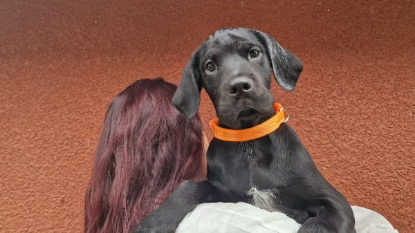 Kah (en cours d'adoption)