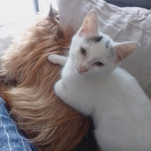 LOUNA