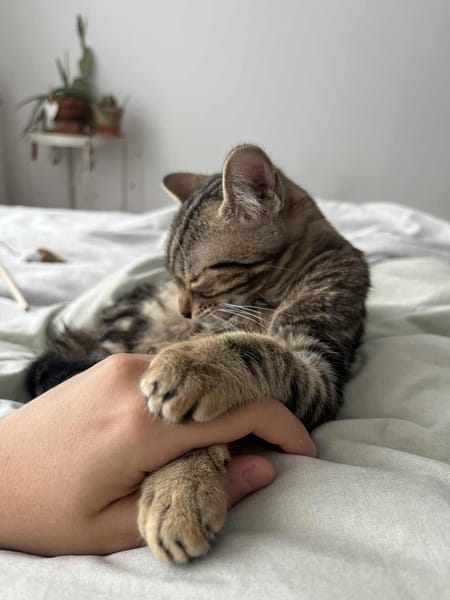 Freja