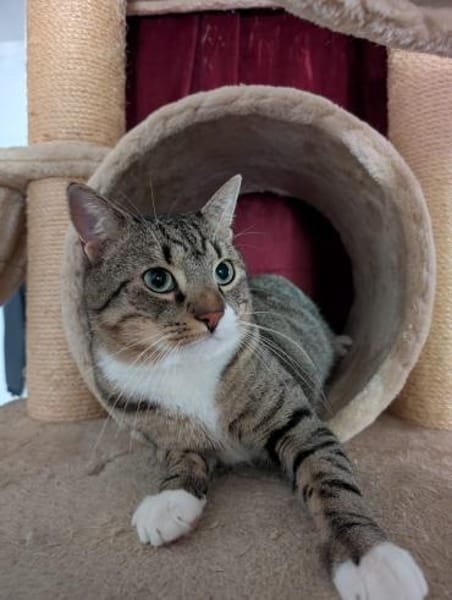 Nils sucht ein liebevolles Zuhause