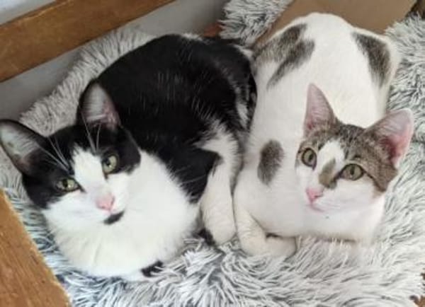 Charlie & Lukas suchen zusammen