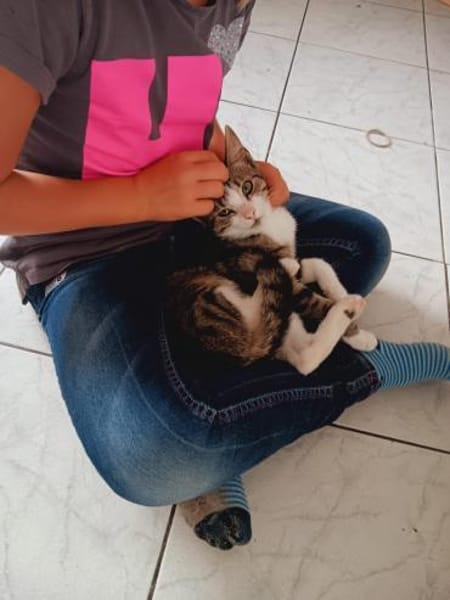 Unser süßes Pärchen Chupa und Nia
