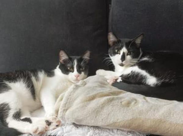 Sohn Edgar und Mama Wilma