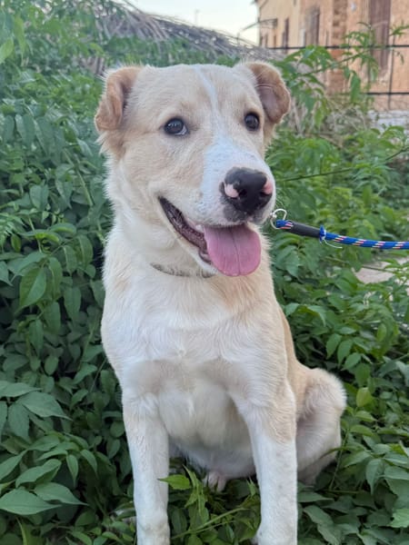 DUKE (Martina)
