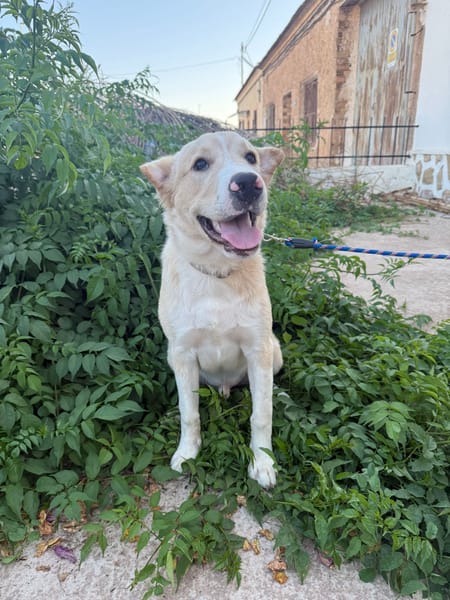 DUKE (Martina)